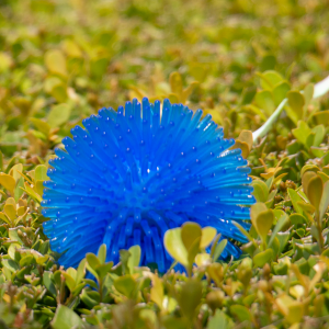 LED Light-Up Pom Pom Necklace - Blue