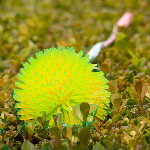 LED Light-Up Pom Pom Necklace - Yellow