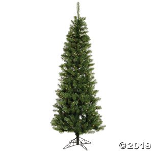 Vickerman 5.5' Salem Pencil Pine Christmas Tree with Clear Lights (1 Piece(s))
