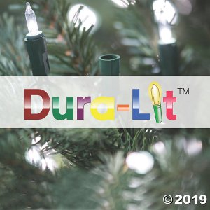Vickerman 24" Dakota Pine Christmas Tree with Warm White LED Lights (1 Piece(s))