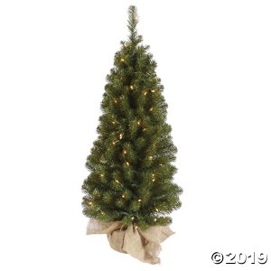Vickerman 36" Felton Pine Christmas Tree with Clear Lights (1 Piece(s))