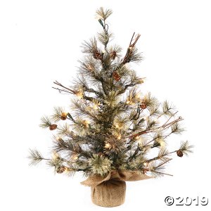 Vickerman 24" Dakota Pine Christmas Tree with Clear Lights (1 Piece(s))