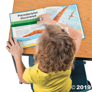 Highlight Reading Strips (24 Piece(s))