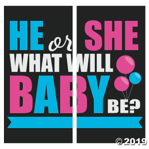 Gender Reveal Backdrop Banner (1 Set(s))