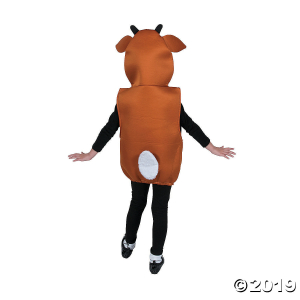 Kid's Shiny Nose Rudolph the Red-Nosed Reindeer® Costume (1 Piece(s))