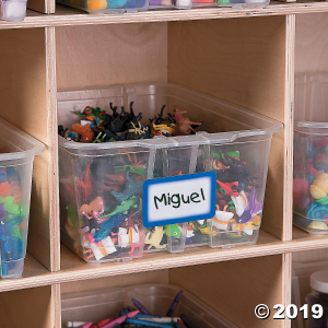 Blue Self-Adhesive Name Tags/Labels (1 Roll(s))