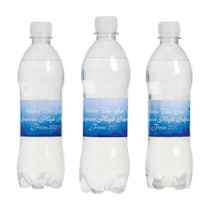 Personalized Under the Sea Water Bottle Labels (50 Piece(s))