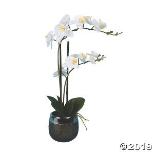 Vickerman 23" Artificial White Phalaenopsis In Metal Pot, Real Touch Petals (1 Piece(s))