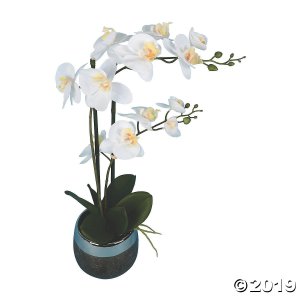 Vickerman 23" Artificial White Phalaenopsis In Metal Pot, Real Touch Petals (1 Piece(s))