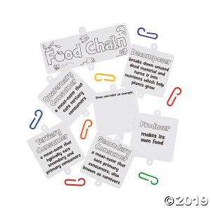 Food Chain Linking Craft Kit (Makes 12)