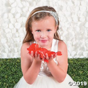Red Rose Petals (200 Piece(s))
