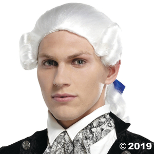 White Ponytail Bow Wig (1 Piece(s))