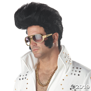 Adult's Rock & Roll Wig (1 Piece(s))