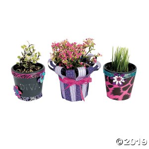 DIY Ceramic Flowerpots (Per Dozen)
