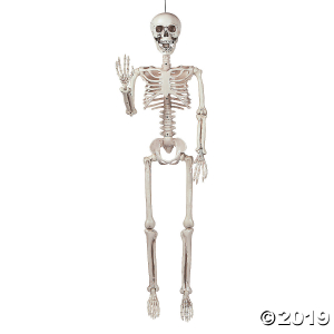 Posable Skeleton Halloween Decoration (1 Piece(s))