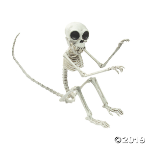 Monkey Skeleton Halloween Decoration (1 Piece(s))