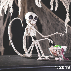 Monkey Skeleton Halloween Decoration (1 Piece(s))