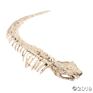 Snake Skeleton Halloween Decoration (1 Piece(s))