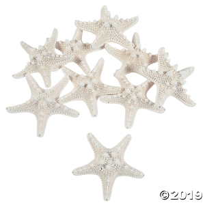 Natural Bleached Philippine Starfish (Per Dozen)