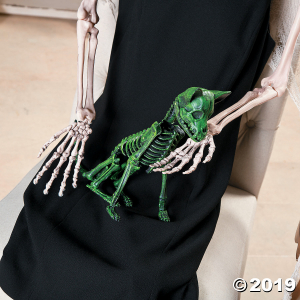Neon Green Halloween Skeleton Chihuahua Halloween Decoration (1 Piece(s))