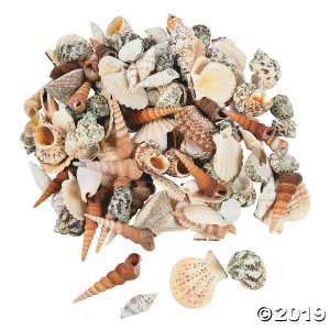 Super Mega Decorative Sea Shell Assortment (10 lb(s))