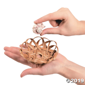 Scallop Basket Sea Shell Assortment (12 Piece(s))