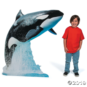 Killer Whale Cardboard Stand-Up (1 Piece(s))