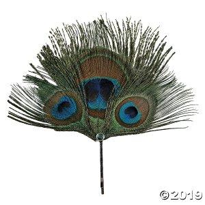 Natural Peacock Feathers (24 Piece(s))