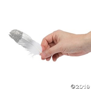 Silver Glitter Feathers (24 Piece(s))