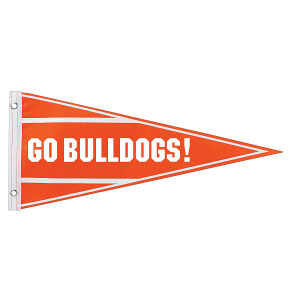 Personalized Orange Pennant Banner (1 Piece(s))