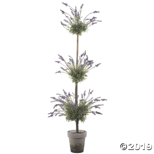 Vickerman 6' Triple Lavender Topairy (1 Piece(s))