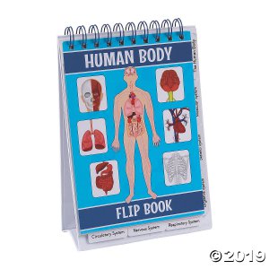 All About Our Bodies Flip Books (6 Piece(s))