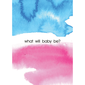 Personalized He or She Gender Reveal Invitations (25 Piece(s))