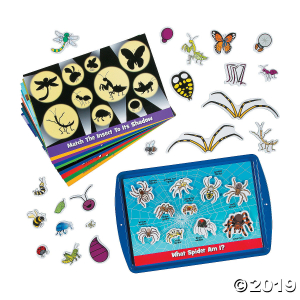 Learning Insects Magnetic Activity Set (1 Set(s))