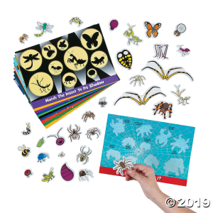 Learning Insects Magnetic Activity Set (1 Set(s))