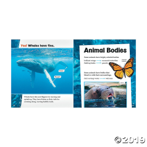 Life Science 1st Grade Book Set (1 Set(s))