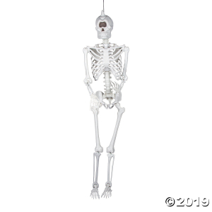 Life-size Cyclops Skeleton Halloween Decoration (1 Piece(s))