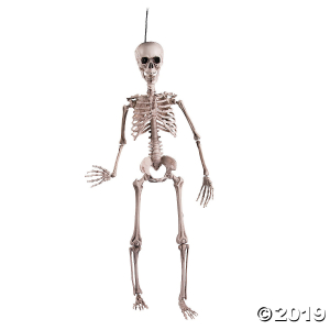 Rugged Posable Skeleton Halloween Decoration