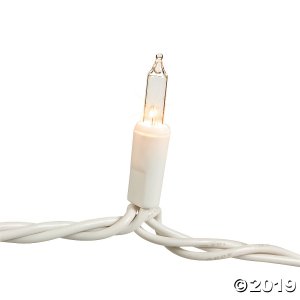Clear White Wire String Lights (1 Set(s))