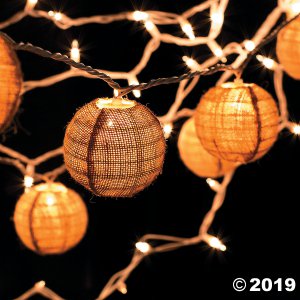 Clear White Wire String Lights (1 Set(s))