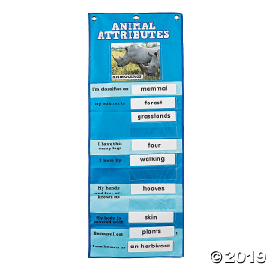 Animal Attribute Pocket Chart (1 Set(s))