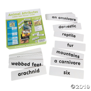 Animal Attribute Pocket Chart (1 Set(s))