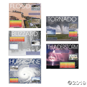 Severe Weather Posters (5 Piece(s))