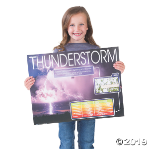 Severe Weather Posters (5 Piece(s))