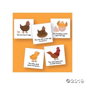 Magnetic Life Cycles - Chicken (1 Set(s))