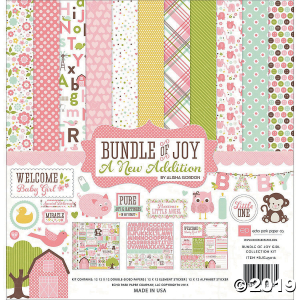 Echo Park Collection Kit 12"X12"-Bundle Of Joy/A New Addition - Baby Girl (12 Sheet(s))