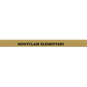 Personalized Gold Pencils (24 Piece(s))