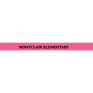 Neon Pink Personalized Pencils (24 Piece(s))