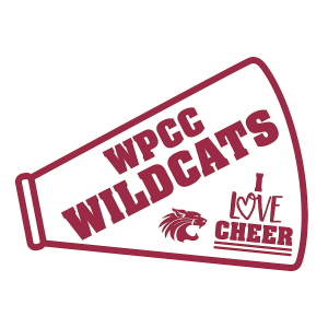 Custom Photo Cheerleading Rally Sign (1 Piece(s))
