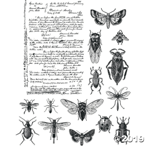 Tim Holtz Cling Stamps 7"X8.5"-Entomology (1 Piece(s))